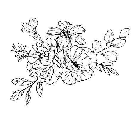 Wildflowers Line Drawing. Black and white Floral Bouquets. Flower Coloring Page. Floral Line Art. Fine Line Wildflowers illustration. Hand Drawn flowers. Botanical Coloring.のイラスト素材