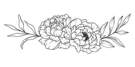 Peony Line Drawing. Black and white Floral Bouquets. Flower Coloring Page. Floral Line Art. Fine Line Peony illustration. Hand Drawn flowers. Botanical Coloring. Wedding invitation flowersのイラスト素材