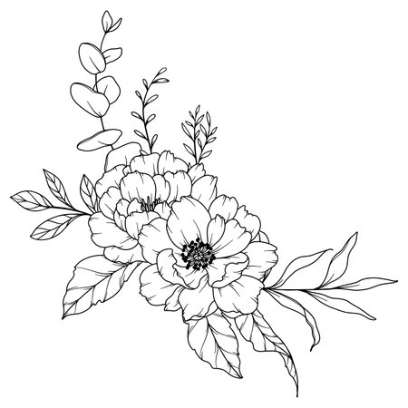 Peony Line Drawing. Black and white Floral Bouquets. Flower Coloring Page. Floral Line Art. Fine Line Peony illustration. Hand Drawn flowers. Botanical Coloring. Wedding invitation flowersのイラスト素材