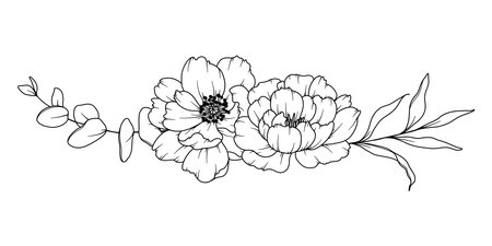 Peony Line Drawing. Black and white Floral Bouquets. Flower Coloring Page. Floral Line Art. Fine Line Peony illustration. Hand Drawn flowers. Botanical Coloring. Wedding invitation flowersのイラスト素材