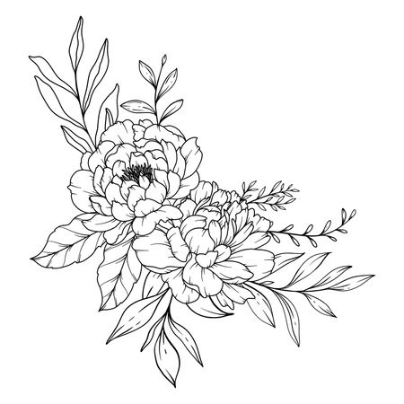 Peony Line Drawing. Black and white Floral Bouquets. Flower Coloring Page. Floral Line Art. Fine Line Peony illustration. Hand Drawn flowers. Botanical Coloring. Wedding invitation flowersのイラスト素材