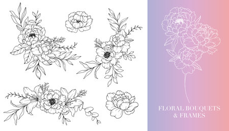 Peony Line Drawing. Floral Frames and Bouquets. Floral Line Art. Fine Line Peony Frames Hand Drawn Illustration. Hand Drawn Outline Magnolias. Botanical Coloring Page. Peony Isolatedのイラスト素材