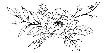 Peony Line Drawing. Black and white Floral Bouquets. Flower Coloring Page. Floral Line Art. Fine Line Peony illustration. Hand Drawn flowers. Botanical Coloring. Wedding invitation flowersのイラスト素材