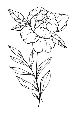 Peony Line Drawing. Black and white Floral Bouquets. Flower Coloring Page. Floral Line Art. Fine Line Peony illustration. Hand Drawn flowers. Botanical Coloring. Wedding invitation flowersのイラスト素材