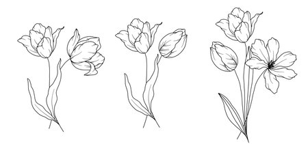 Tulips Line Drawing. Black and white Floral Bouquets. Flower Coloring Page. Floral Line Art. Fine Line Tulips illustration. Hand Drawn flowers. Botanical Coloring. Wedding invitation flowersのイラスト素材