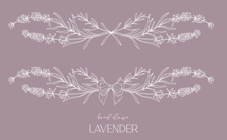 Lavender Line Drawing. Black and white Floral Frames. Floral Line Art. Fine Line Lavender illustration. Hand Drawn Outline flowers. Botanical Coloring Page. Wedding invitation flowersのイラスト素材