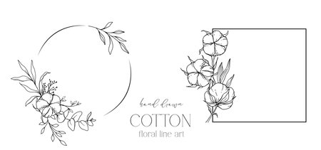 Hand Drawn Cotton Flowers Line Art Illustration. Cotton Balls isolated on white. Floral Line Art. Cotton Plant Black and white illustration. Fine Line Cotton illustration.のイラスト素材