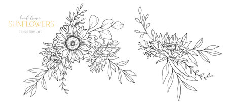 Sunflowers Line Art, Fine Line Sunflowers Hand Drawn Illustration. Fine Line Sunflowers illustration. Floral Line Art. Black and White Sunflowers Graphicsのイラスト素材