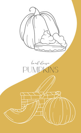 Pumpkins outline isolated on white. Pumpkins line art ilustration. Fall Pumpkins Hand Drawn. Fall Coloring Page. Thanksgiving graphicsのイラスト素材