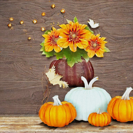Autumn still life with pumpkins and flowers on a wooden backgroundの写真素材