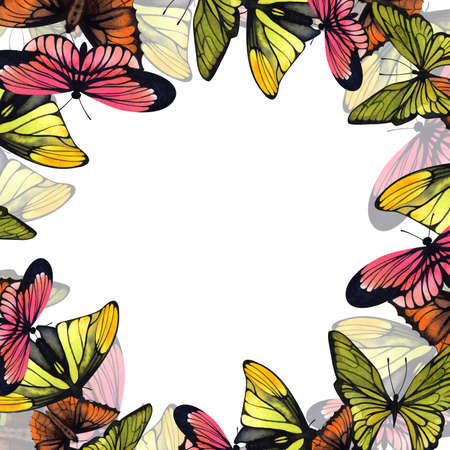 Frame made of butterflies. Watercolor illustration. Ready-made watercolor illustration for the design of cards, flyers.の写真素材