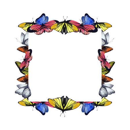 Butterflies. Ready-made watercolor illustration for the design of cards, flyers, invitations. Square format.の写真素材