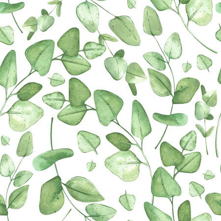 Eucalyptus pattern for a rustic background. For banner design, textile, fabric, ceramics. Watercolor botanical illustration with plants. Isolated white background.の写真素材