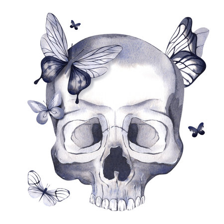 Skull with butterflies. The day of the Dead. Watercolor illustration for halloween design. Isolated white background.の写真素材