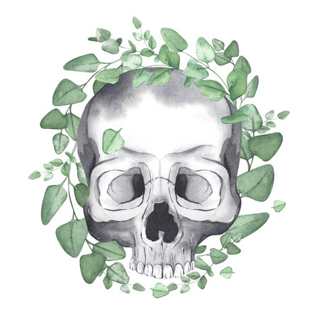 Human skull with eucalyptus wreath. Watercolor illustration of skull with green leaves for halloween design. Isolated white background.の写真素材