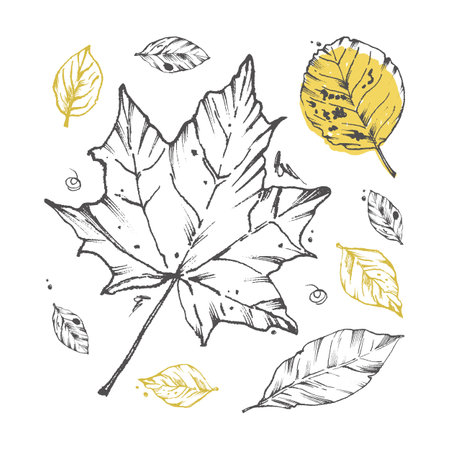 Set of abstract autumn leaves. Vector illustration of dry, fallen leaves. Minimalism. For the design of postcards, textiles, cards, invitations, postersのイラスト素材