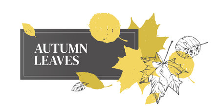 Vector illustration of dry, fallen leaves. Abstract autumn leaves. Horizontal banner on an autumn theme. For the design of textiles, invitations, promotionsのイラスト素材