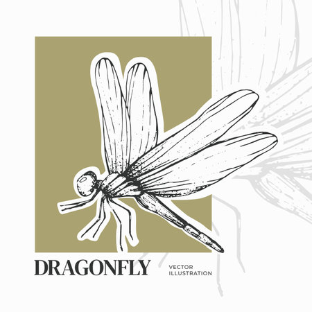 Vector illustration of a dragonfly in engraving style. Flying insect. Entomologyのイラスト素材