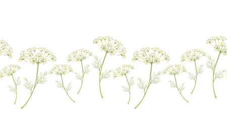 Dill. Seamless pattern of greenery. Horizontal border. Watercolor illustration. For textile design, packaging and backgroundsの写真素材