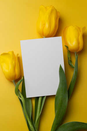 Postcard template with yellow spring flowers on yellow background. Greeting card mockup with tulips. Floral arrangement with blank form top viewの写真素材