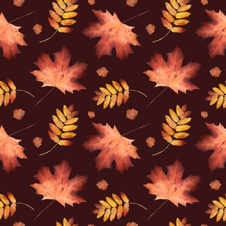 Autumn pattern of fallen leaves. Rowan and maple. Watercolor illustration. Red and yellow leaves. Deciduous trees. For design of backgrounds, packaging, textiles, wallpapersの写真素材