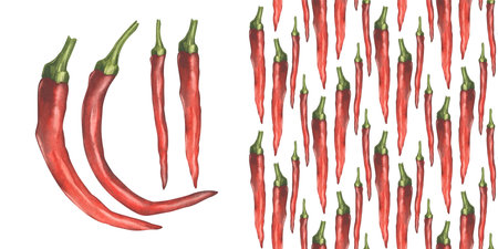 Red pepper watercolor illustration. Hot chili peppers. Peppers are lined up and all are different sizes. Gardening and agriculture for kitchen textiles, labels, packaging, backgroundsの写真素材