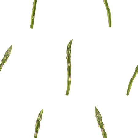 Asparagus on white background seamless pattern watercolor illustration. Asparagus is green and has a purple tip. Growing fresh vegetables. Organic produce. From farm to tableの写真素材