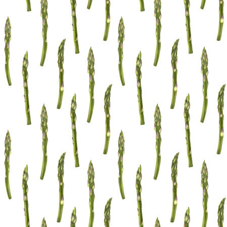 Asparagus on white background seamless pattern watercolor illustration. Asparagus is green and has a purple tip. Growing fresh vegetables. Organic produce. From farm to tableの写真素材