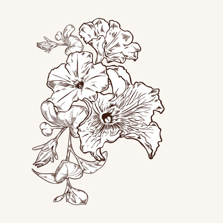 Flower card of buds and leaves in engraving style vector illustration in brown color. Vintage bouquet of garden flowers petunias in monochrome line style. Hand drawn botanical illustrationのイラスト素材