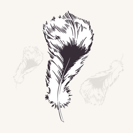 Feather in black and white outline vector illustration. Vintage sketch of bird feather in monochrome. Lightness concept. Bohoのイラスト素材
