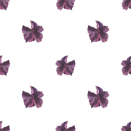 Purple flower seamless pattern, watercolor illustration. Petunia bud ornament. Garden flowers in black for background, textile, packagingの写真素材
