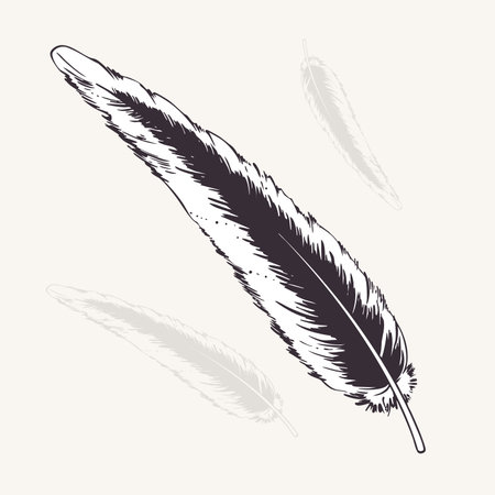 Feather in black and white outline vector illustration. Vintage sketch of bird feather in monochrome. Lightness concept. Bohoのイラスト素材