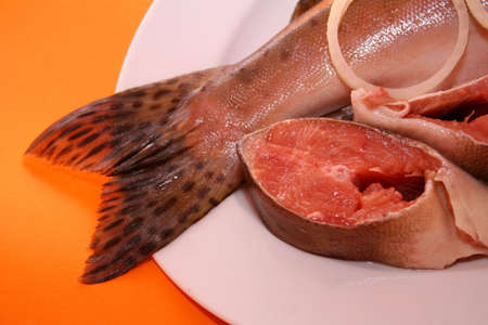 Fresh salmon