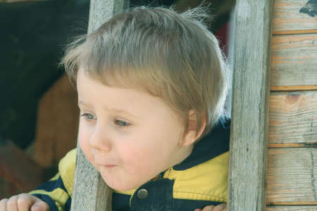 Portraitの写真素材