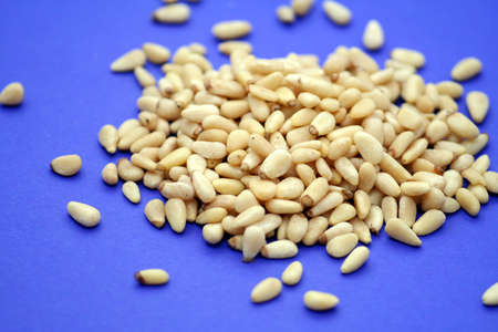 pine coresの写真素材