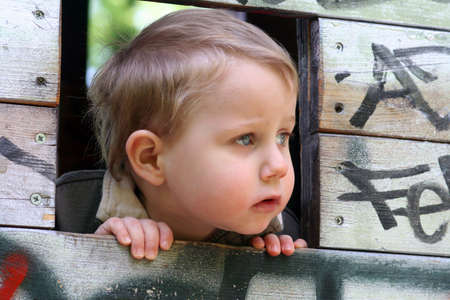 Guck guckの写真素材