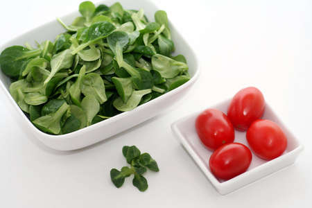 Saladの写真素材