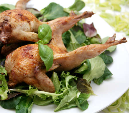 quailsの写真素材