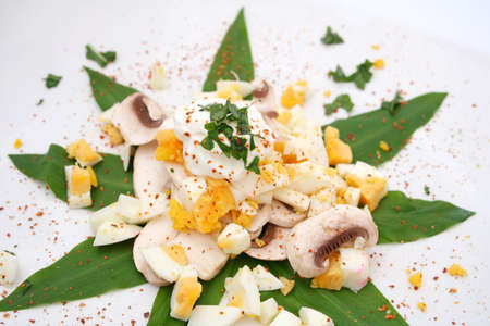 Fresh saladの写真素材