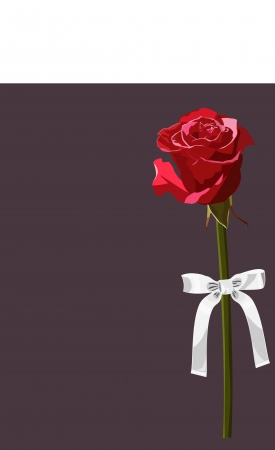 Rose with bowのイラスト素材