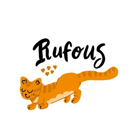 Set of orange cats.のイラスト素材