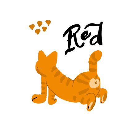 Orange Cat illustration. Vector handdrawn elements.のイラスト素材