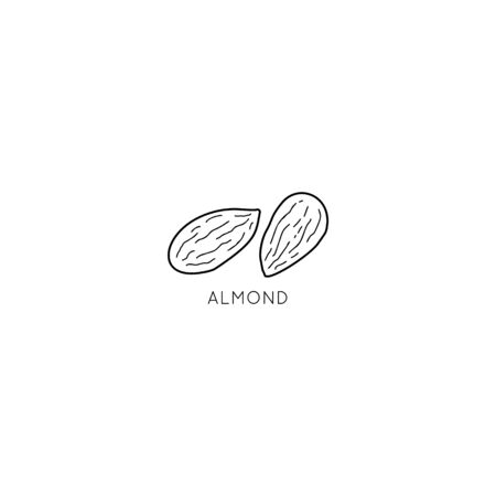 Almond Nut Vector logo design template with nut icon in linear style. Abstract emblem for organic shop, healthy food store or vegetarian cafe.のイラスト素材