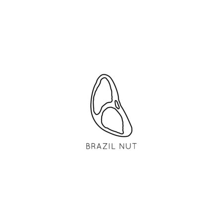 Brazil Nut Vector logo design template with nut icon in linear style. Abstract emblem for organic shop, healthy food store or vegetarian cafe.のイラスト素材