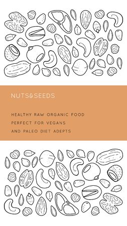 Nuts and seeds  line silhouettes. Vector vertical with place for text. Flyer, booklet advertising and design.のイラスト素材