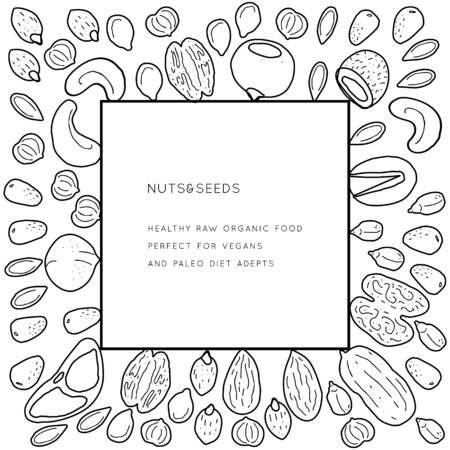 Nuts and seeds  line silhouettes. Vector background pattern with place for text. Flyer, booklet advertising and design.のイラスト素材