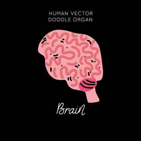 Human Brain organ cartoon vector isolated design. Iillustration in funny doodle style. Clipart drawing for medicine poster, print, banner, brochure.のイラスト素材