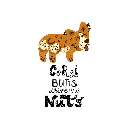 Hand drawn Welsh Corgi  lettering quote - Corgi Butts drive me nuts - with illustration of happy dog. Unique vector quote poster.Custom typography for package, t-shirts, merch design.のイラスト素材
