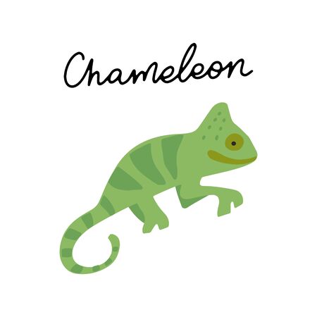 African safari Chameleon animals clipart vector set. Hand drawn elements in paper-cut style. Nature inspired simple geometry shapes, textured illustration.のイラスト素材