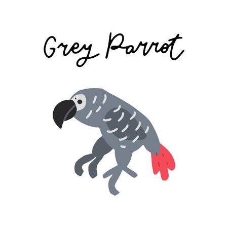 African safari Grey Parrot animals clipart vector set. Hand drawn elements in paper-cut style. Nature inspired simple geometry shapes, textured illustration.のイラスト素材
